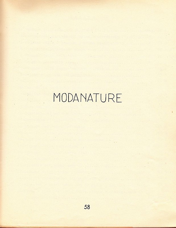 Pagina58 - Modanatura